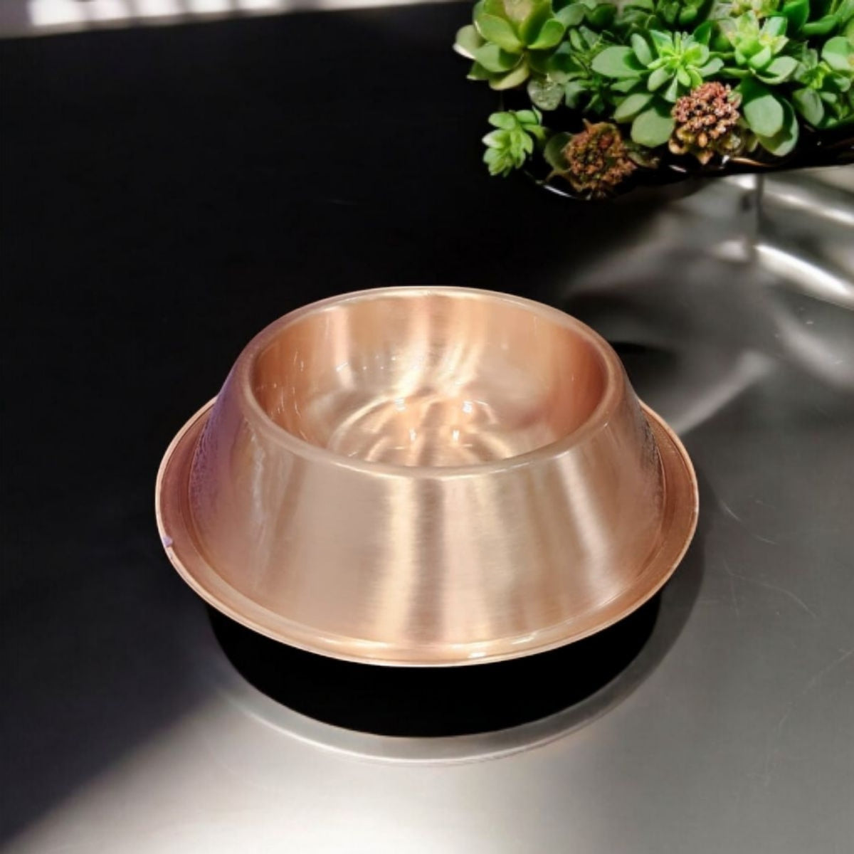 Premium Copper Pet Bowl 750ml Zurit Enterprise