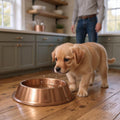Premium Copper Pet Bowl – 750ml